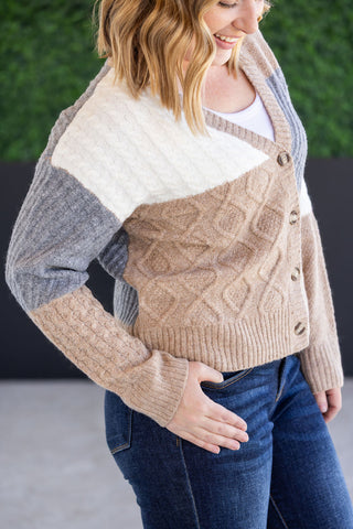 IN STOCK Colorblock Cozy Cardigan