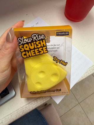 Viral Cheese Squishy