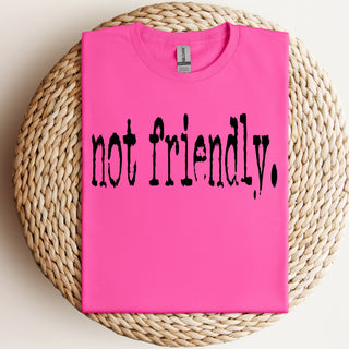 Not Friendly Tshirt