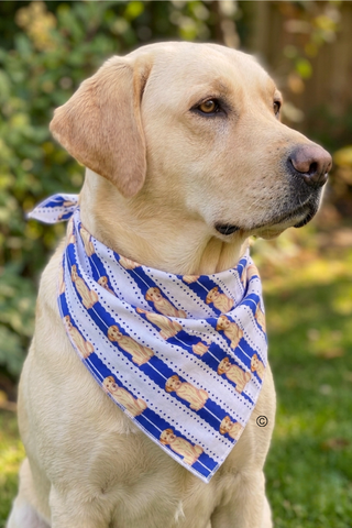 All American Charlie Bandana©