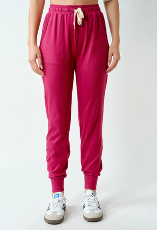 Everyday Wanderer Joggers