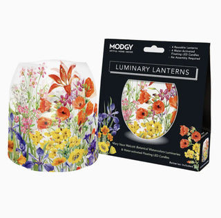 Everyday Luminary Lanterns