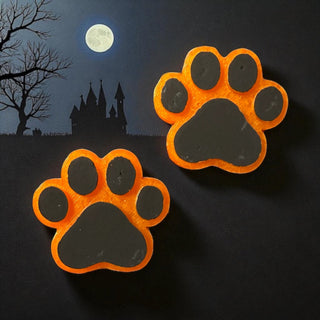 Orange Paw Magnet Set