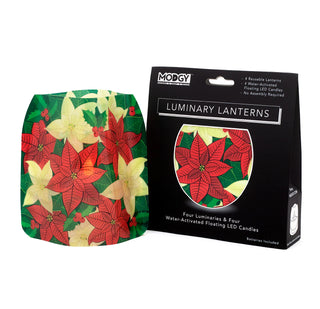 Winter Luminary Lanterns