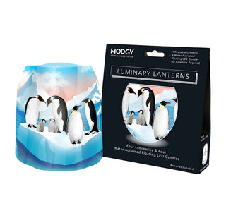 Winter Luminary Lanterns