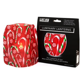 Winter Luminary Lanterns