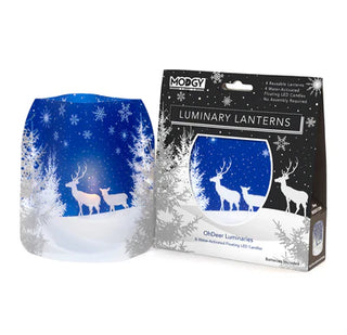 Winter Luminary Lanterns