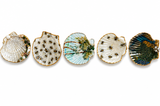 Medium Trinket Shell Dishes