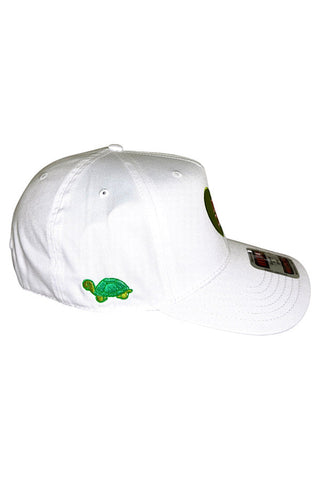 Delta Zeta Embroidered Hat