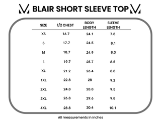 IN STOCK Blair Short Sleeve Top - Blush FINAL SALE
